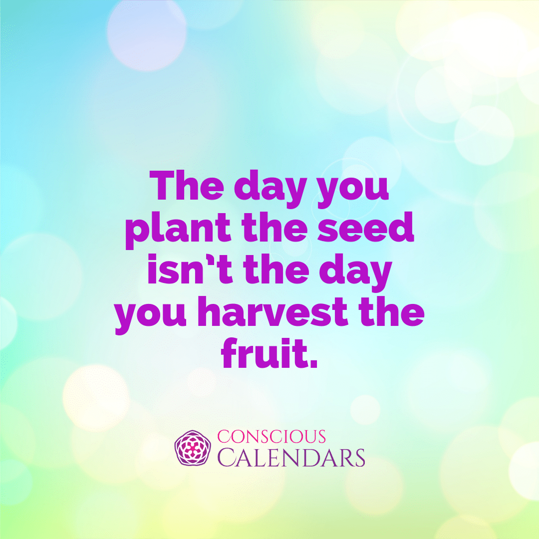 The day you plant the seed isn’t the day you harvest the fruit.