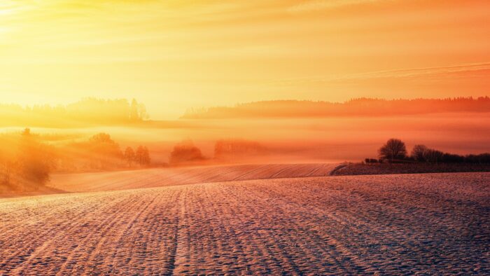 light across frost field